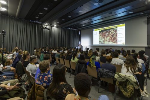 SOFCOT 2023 11 15 @ Gael Kazaz 15-MAI-686