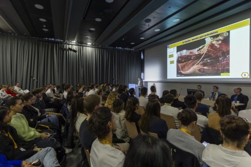 SOFCOT 2023 11 15 @ Gael Kazaz 15-MAI-687