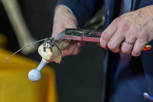 Sofcot 2025 11 11 © Gael Kazaz Quinze Mai-137