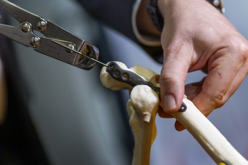 Sofcot 2025 11 11 © Gael Kazaz Quinze Mai-240